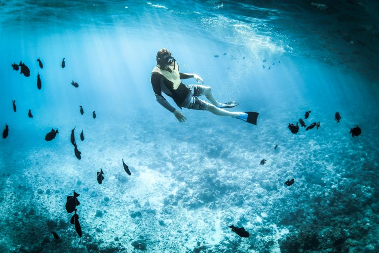 Diver at Julian Rocks in Byron Bay