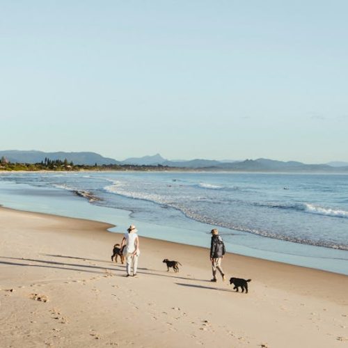 Belongil Beach Dog Walk