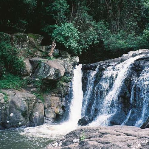 Whian Whian Falls Near Byron Bay