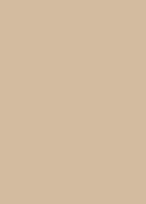 lightbrown-offset-bg-img